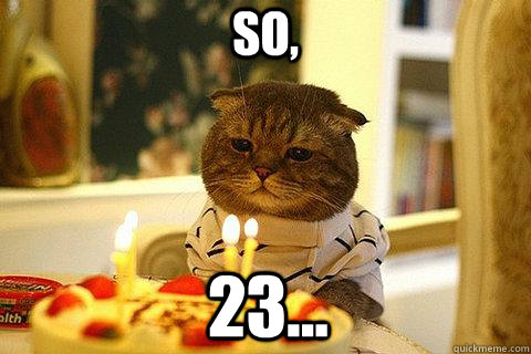 So, 23...  Sad Birthday Cat