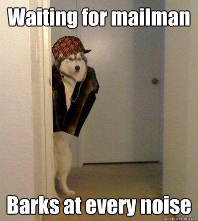 Waiting for mailman Barks at every noise - Waiting for mailman Barks at every noise  Scumbag dog