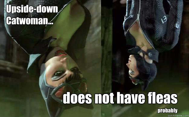 Upside-down
Catwoman... does not have fleas probably  Upside-down Catwoman