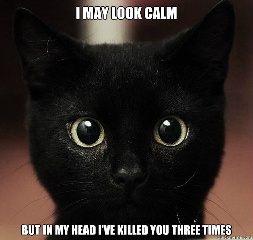 I may look Calm But in my head I've killed you three times - I may look Calm But in my head I've killed you three times  Socio-Kitty