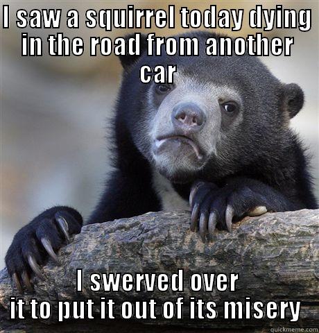I SAW A SQUIRREL TODAY DYING IN THE ROAD FROM ANOTHER CAR I SWERVED OVER IT TO PUT IT OUT OF ITS MISERY  Confession Bear