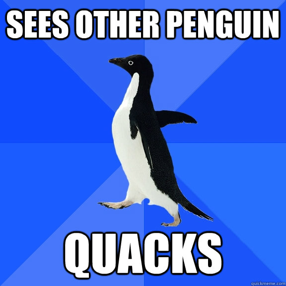 sees other penguin quacks  Socially Awkward Penguin