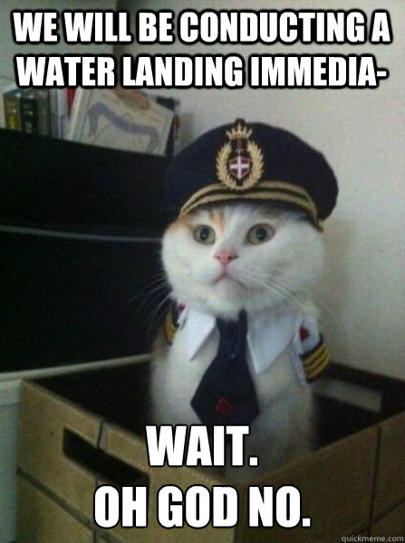 We will be conducting a water landing immedia- WAIT.
OH GOD NO.  Captain kitteh