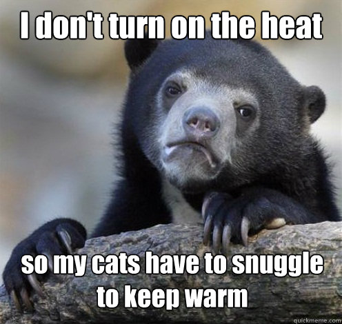 I don't turn on the heat so my cats have to snuggle to keep warm  - I don't turn on the heat so my cats have to snuggle to keep warm   Confession Bear Eating