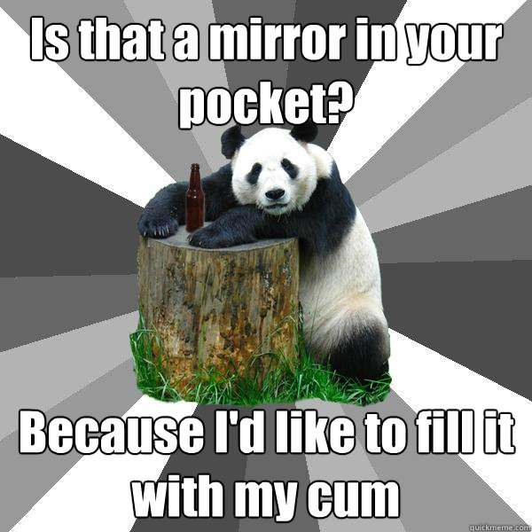 Is that a mirror in your pocket? Because I'd like to fill it with my cum  Pickup-Line Panda