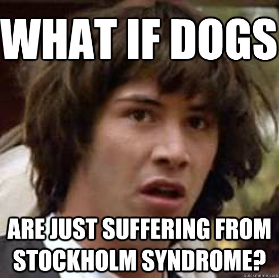 What if dogs are just suffering from stockholm syndrome?  conspiracy keanu