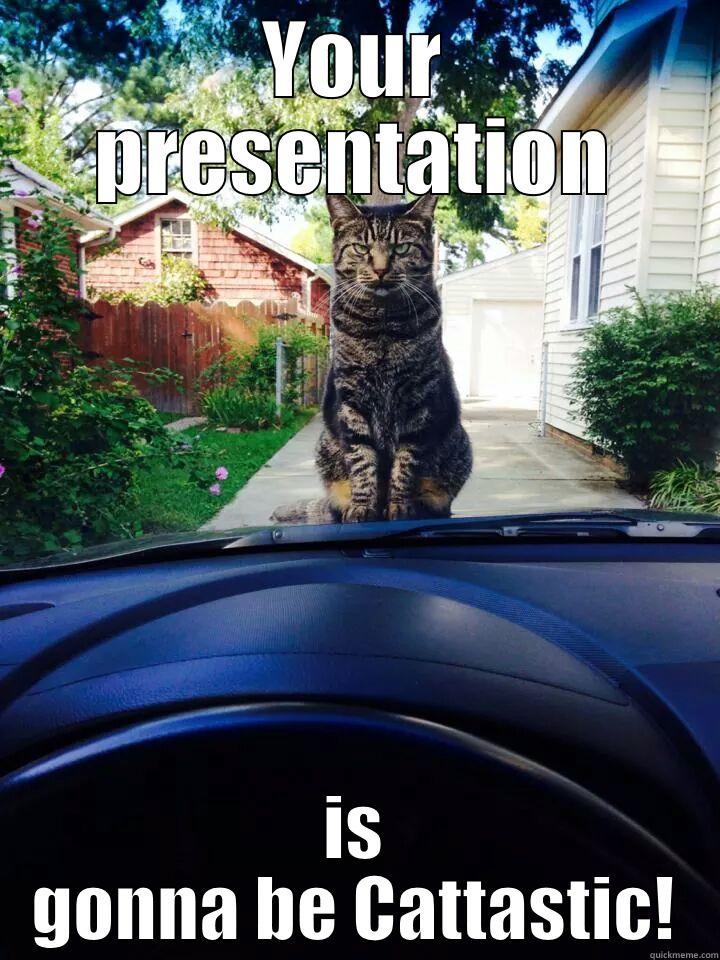 YOUR PRESENTATION IS GONNA BE CATTASTIC! Misc
