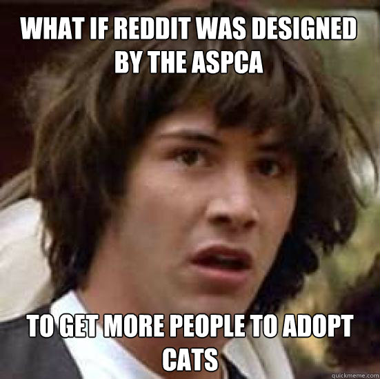 what if reddit was designed by the ASPCA to get more people to adopt cats - what if reddit was designed by the ASPCA to get more people to adopt cats  conspiracy keanu