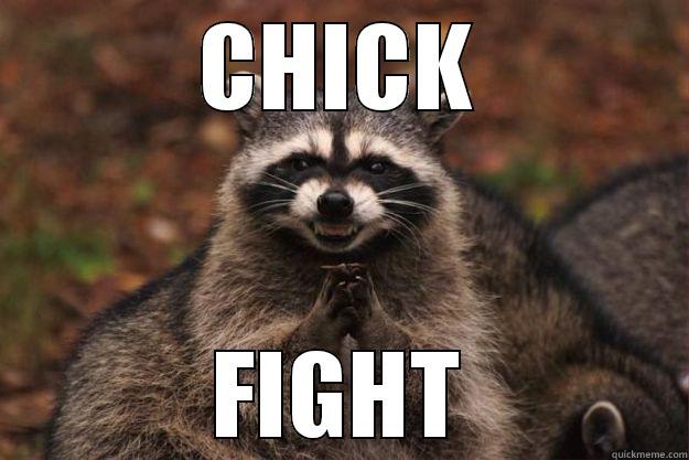 CHICK FIGHT Evil Plotting Raccoon