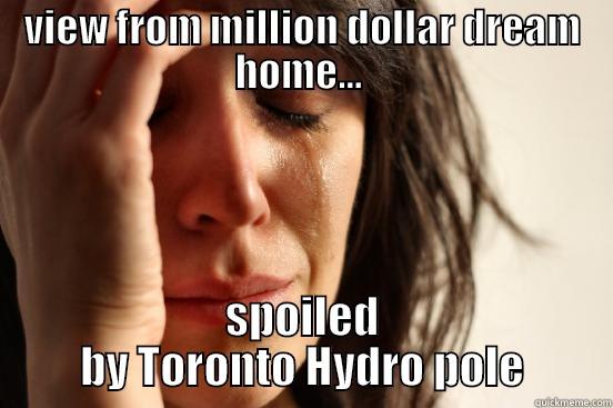 VIEW FROM MILLION DOLLAR DREAM HOME...  SPOILED BY TORONTO HYDRO POLE First World Problems