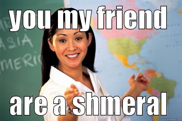 YOU MY FRIEND ARE A SHMERAL Unhelpful High School Teacher