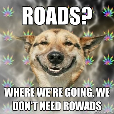 Roads? where we're going, we don't need rowads  Stoner Dog