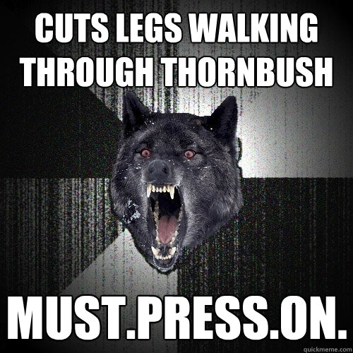 cuts legs walking through thornbush must.press.on.  Insanity Wolf