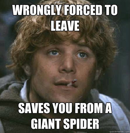 wrongly forced to leave saves you from a giant spider  