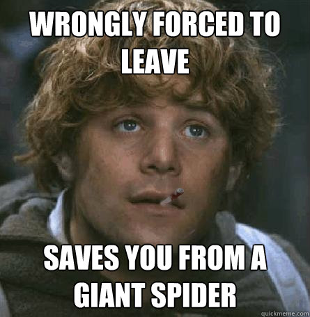 wrongly forced to leave saves you from a giant spider - wrongly forced to leave saves you from a giant spider  Good Guy Gamgee