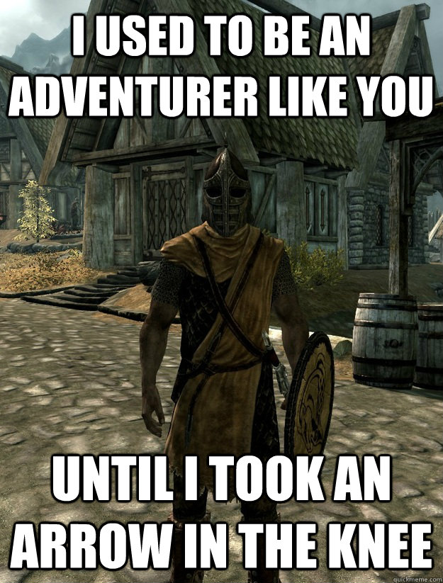 I used to be an adventurer like you until i took an arrow in the knee - I used to be an adventurer like you until i took an arrow in the knee  SkyrimGuard