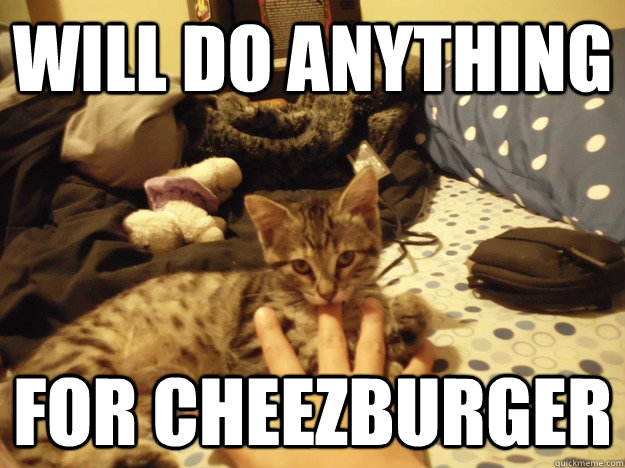 will do anything for cheezburger  