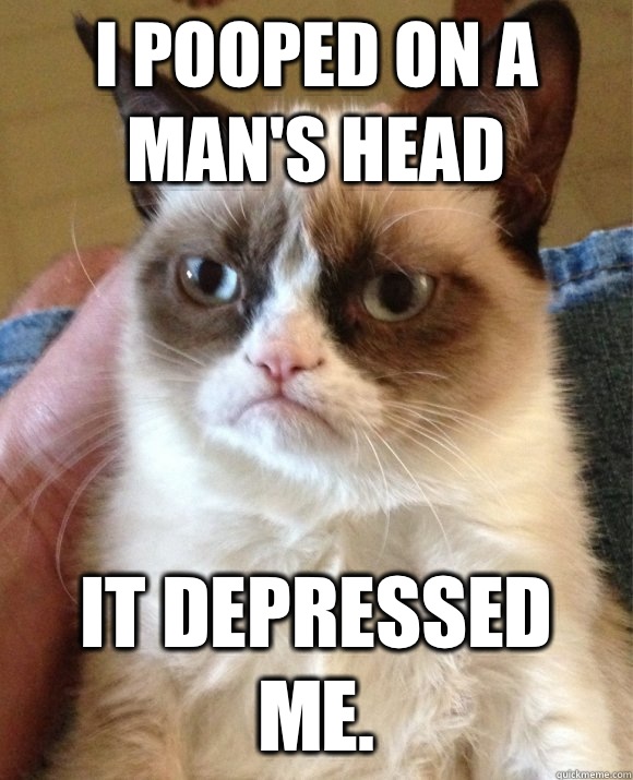 I pooped on a man's head It depressed me.  Tard the Cat
