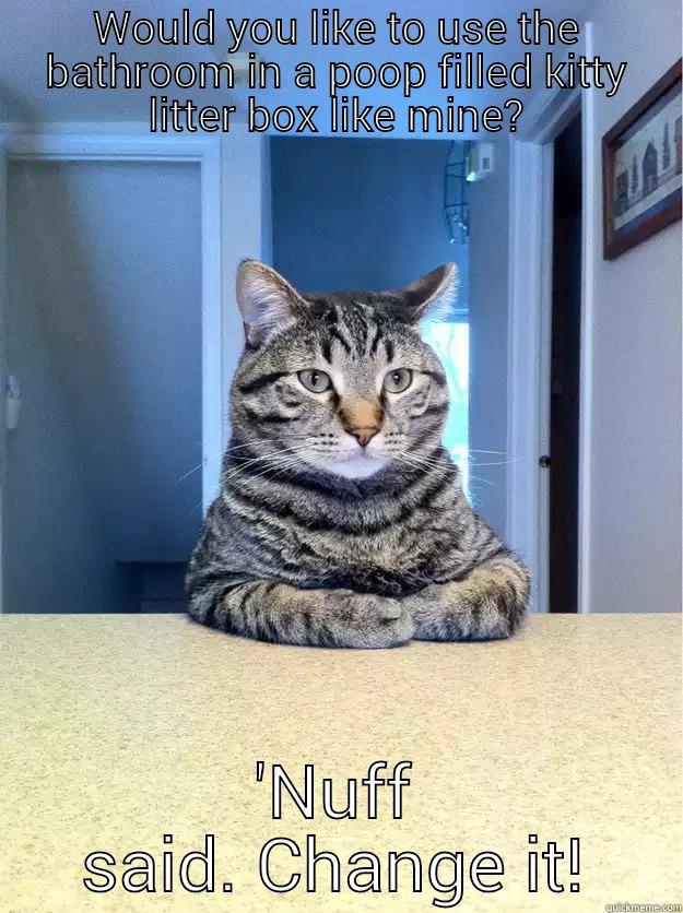 We need to talk... - WOULD YOU LIKE TO USE THE BATHROOM IN A POOP FILLED KITTY LITTER BOX LIKE MINE? 'NUFF SAID. CHANGE IT! Chris Hansen Cat