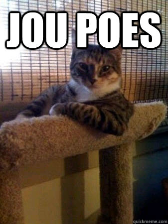 JOU POES   The Most Interesting Cat in the World