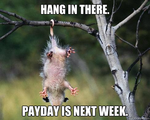 Hang in there. Payday is next week. - Hang in there. Payday is next week.  Poor Possum