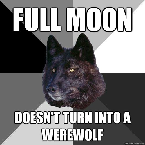 FULL MOON DOESN'T TURN INTO A WEREWOLF  Sanity Wolf