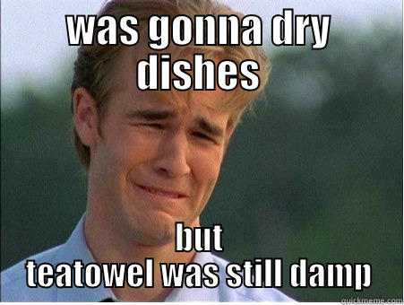 WAS GONNA DRY DISHES BUT TEATOWEL WAS STILL DAMP 1990s Problems