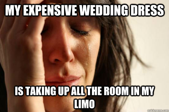 My expensive wedding dress is taking up all the room in my limo  First World Problems