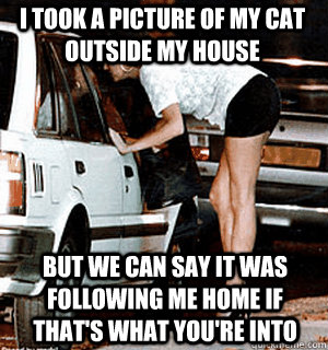 I took a picture of my cat outside my house But we can say it was following me home if that's what you're into  Karma Whore