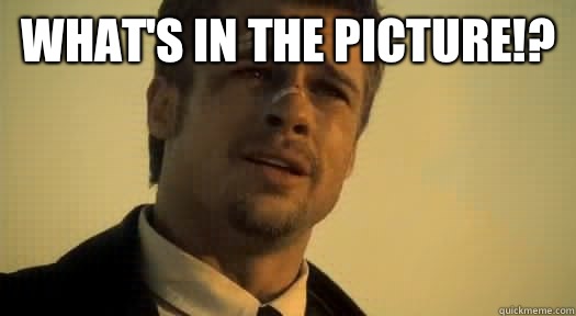 What's in the picture!?    Whats in the box