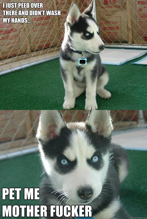 I just peed over 
there and didn't wash 
my hands... PET ME 
MOTHER FUCKER  Insanity puppy