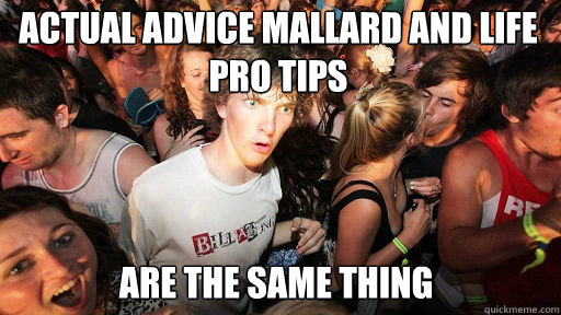 Actual advice mallard and life pro tips  
 are the same thing  Sudden Clarity Clarence