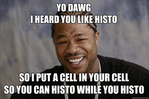 Yo Dawg
I heard you like histo So i put a cell in your cell
so you can histo while you histo - Yo Dawg
I heard you like histo So i put a cell in your cell
so you can histo while you histo  Xzibit meme