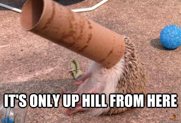  It's only up hill from here -  It's only up hill from here  Misc