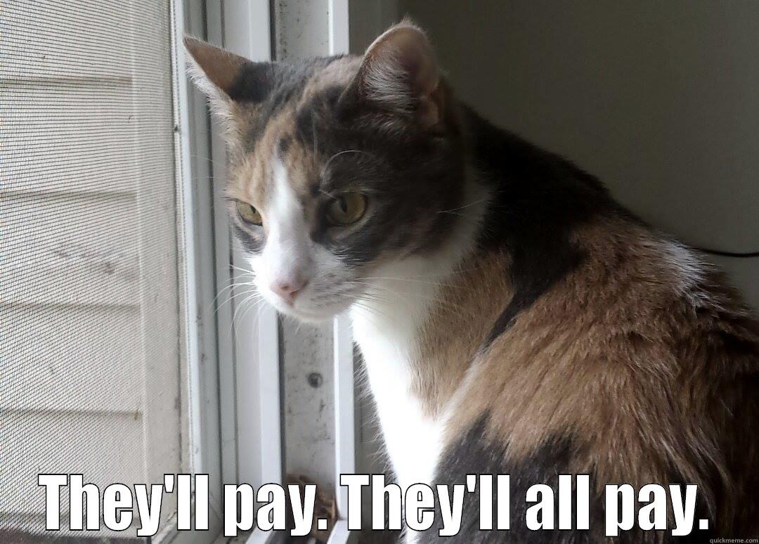 Vengeful cat -  THEY'LL PAY. THEY'LL ALL PAY. Misc