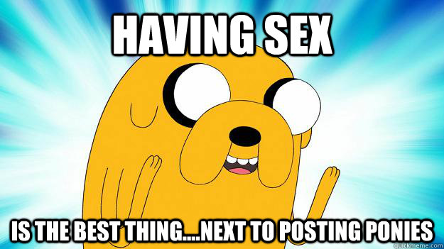 having sex is the best thing....next to posting ponies - having sex is the best thing....next to posting ponies  Jake The Dog