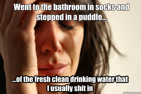 Went to the bathroom in socks and stepped in a puddle... ...of the fresh clean drinking water that                     I usually shit in  First World Problems