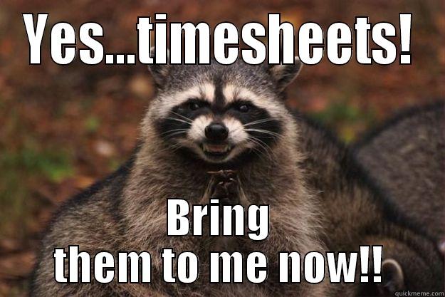 YES...TIMESHEETS! BRING THEM TO ME NOW!! Evil Plotting Raccoon
