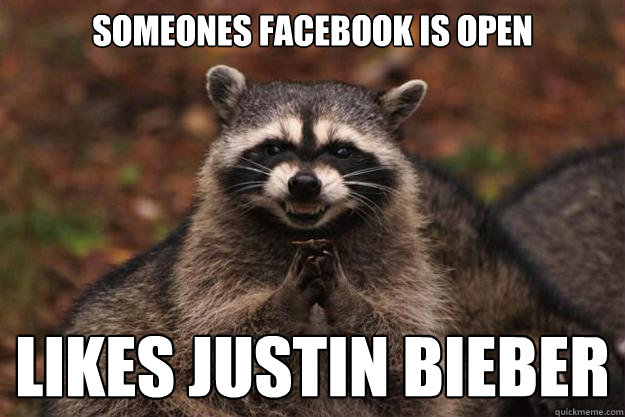 someone´s facebook is open likes justin bieber  Evil Plotting Raccoon