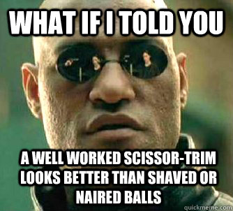 WHAT IF I TOLD YOU A WELL WORKED SCISSOR-TRIM LOOKS BETTER THAN SHAVED OR NAIRED BALLS  Morpheus