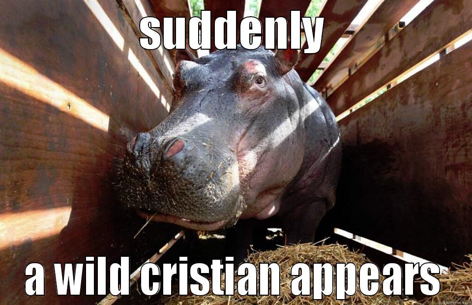 SUDDENLY A WILD CRISTIAN APPEARS Misc