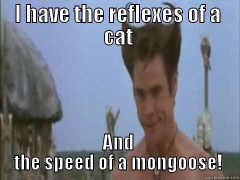 speed of a mongoose - I HAVE THE REFLEXES OF A CAT AND THE SPEED OF A MONGOOSE! Misc