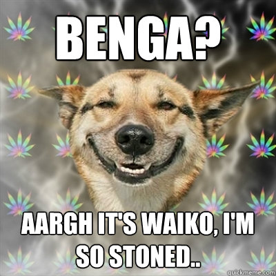 benga? aargh it's waiko, i'm so stoned..   Stoner Dog