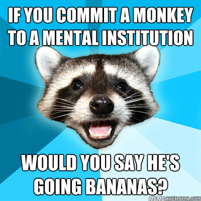 If you commit a monkey to a mental institution would you say he's going bananas?  Lame Pun Raccoon