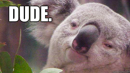DUDE.  