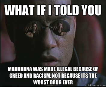 What if I told you Marijuana was made illegal because of greed and racism, not because its the worst drug ever  Morpheus SC