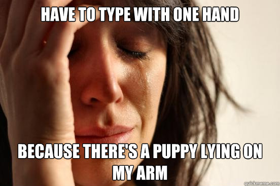 have to type with one hand because there's a puppy lying on my arm  First World Problems
