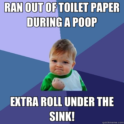 RAN OUT OF TOILET PAPER DURING A POOP EXTRA ROLL UNDER THE SINK!  Success Kid