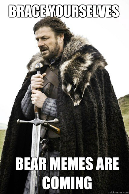 BRACE YOURSELVES Bear memes are coming  Boromir Relationship