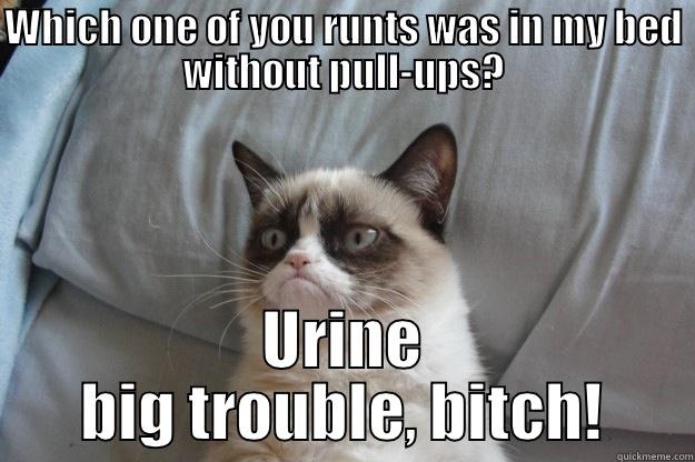 WHICH ONE OF YOU RUNTS WAS IN MY BED WITHOUT PULL-UPS? URINE BIG TROUBLE, BITCH! Grumpy Cat